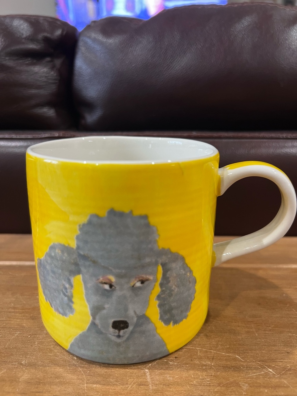 Anthropologie coffee mug Carole Akins cute mug with poodle.